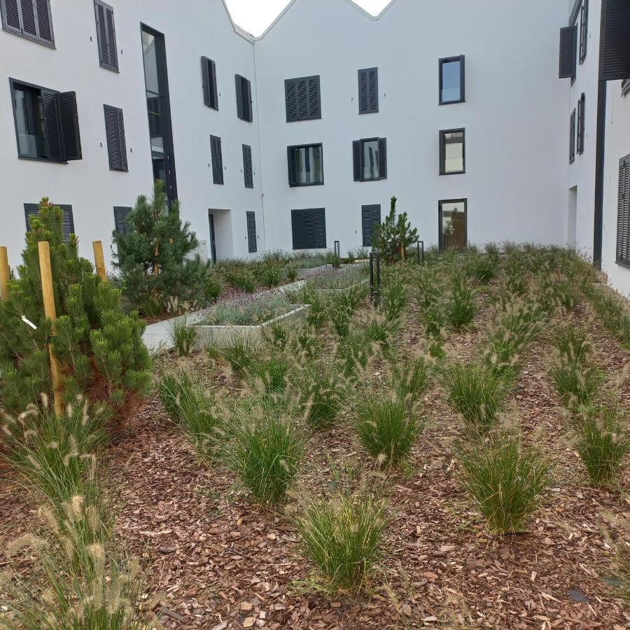 Apartament Orlando W Porto Leba 350M Od Morza Exterior photo